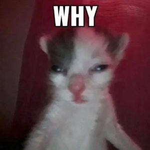 Meet your Posher, Jacob